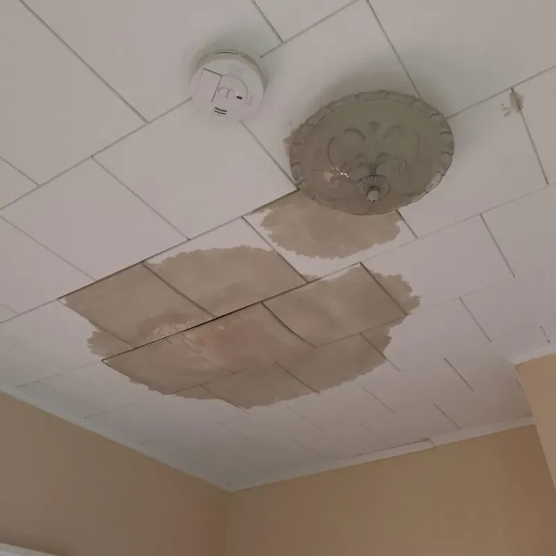 Ceiling Water Damage Repair in Lealman, FL